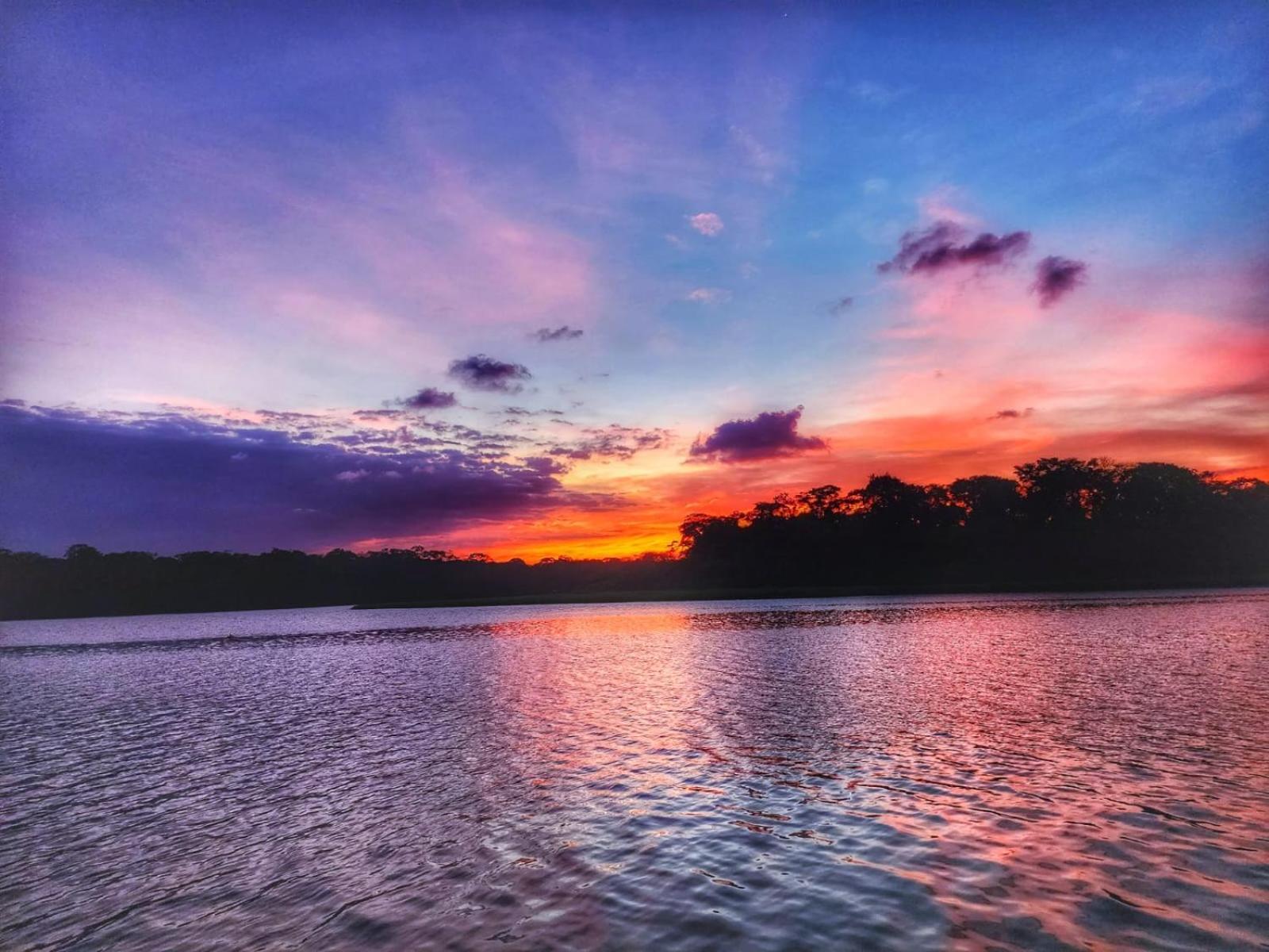 Alma Del Bosque Hotel Tortuguero Zewnętrze zdjęcie